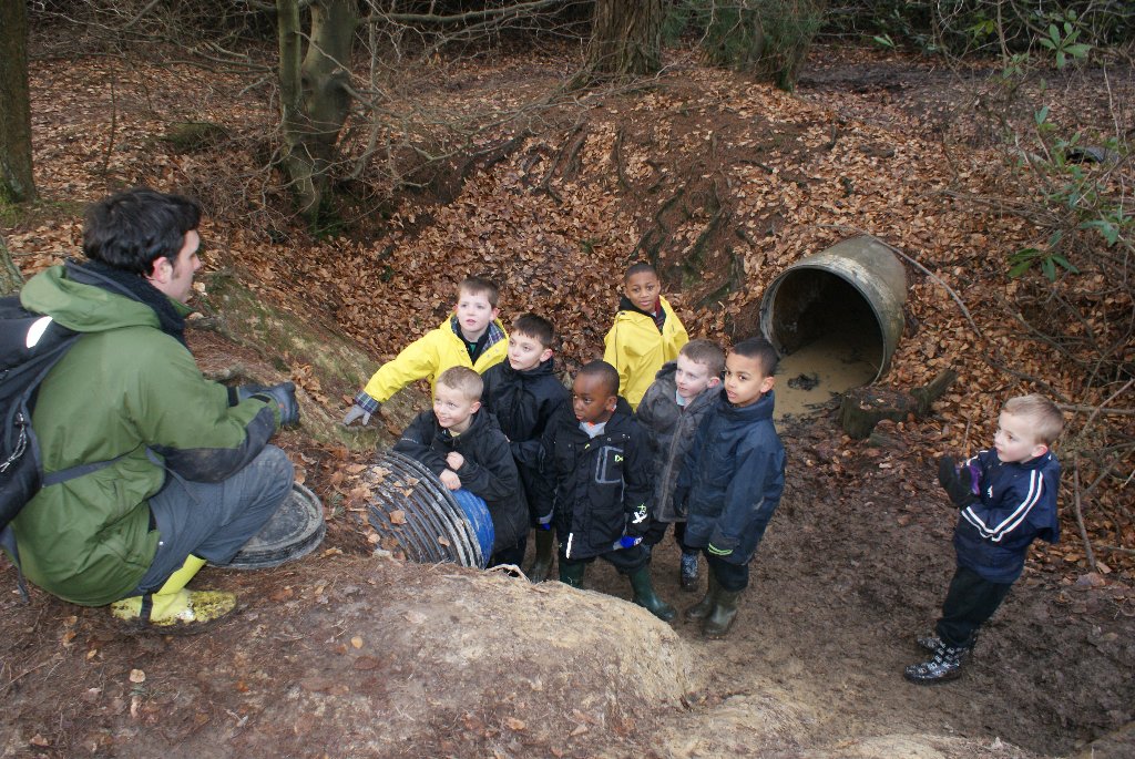 Down in the mud   04